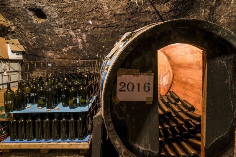 Wine taste in Tokaj Private Day Tour from Budapest - How the Tour Moves at a Comfortable Pace