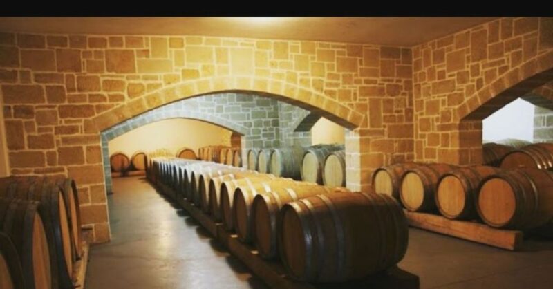 Wine Tasting & Ancient Olive Tree 3 Hours Tour Private - Pacing and Duration: A Concise Yet Informative Tour
