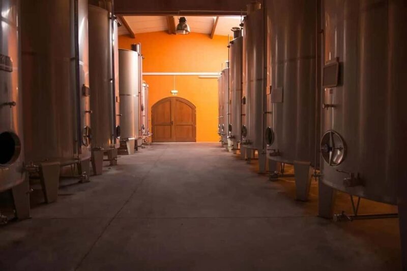 Wine tasting and a visit to the winery - Explore a Winery and Taste Three Unique Wines in Viseu District