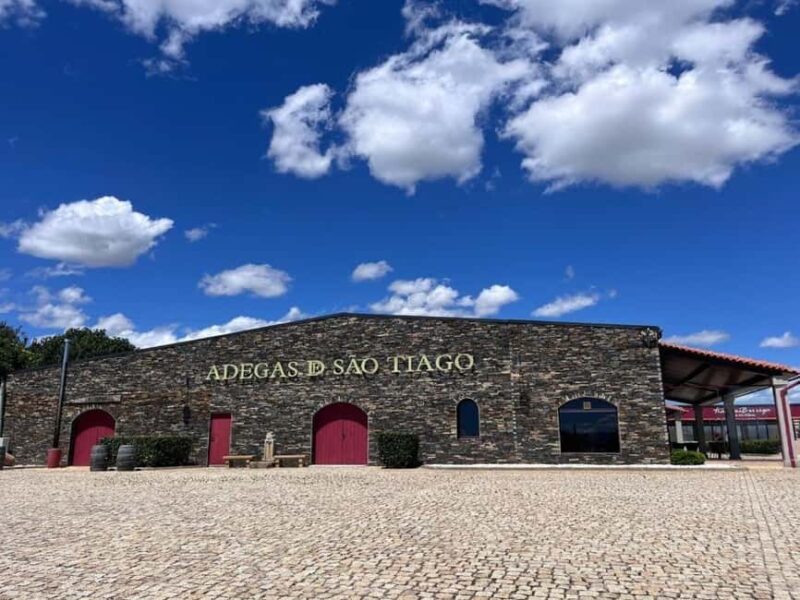 Wine tasting and a visit to the winery - Key Points