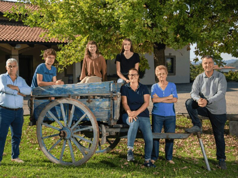 Wine Tasting and Food Pairings in Langhe and near Alba - The Tasting Flow: From Light Whites to Sweet Passito