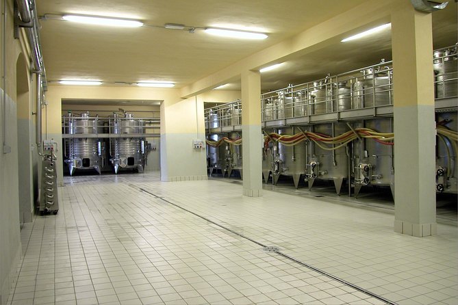Wine tasting and guided tour of the cellar - Guided Tours Led by Knowledgeable Hosts