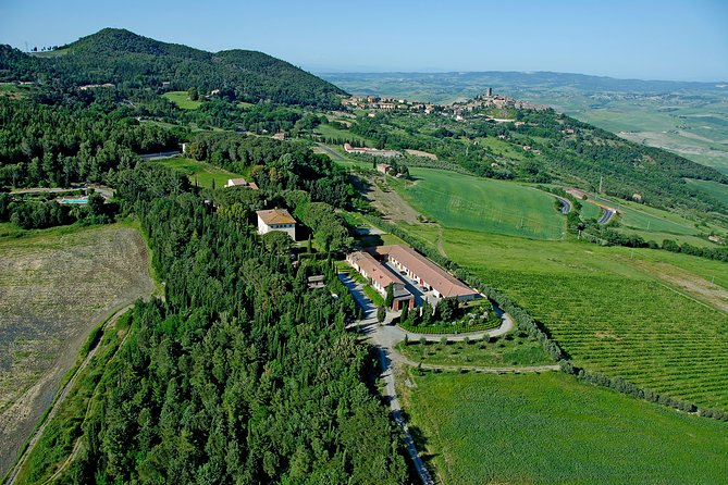Wine tasting and guided tour of the cellar - Final Words on the Fattoria Sorbaiano Experience