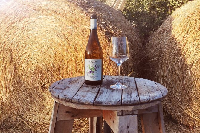 Wine Tasting and Guided Visit to the Vineyard and Cellar in S. Maria Imbaro - Insightful and Passionate Guides