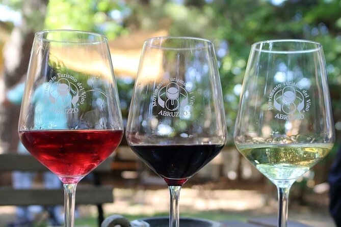 Wine Tasting and Guided Visit to the Vineyard and Cellar in S. Maria Imbaro - Practical Tips and Considerations