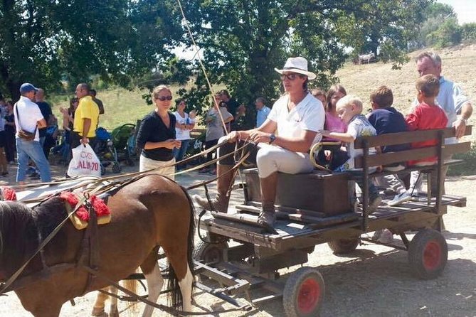 Wine tasting and horseback riding in Montepulciano, in Tuscany from Rome - Pickup and Transportation in Rome