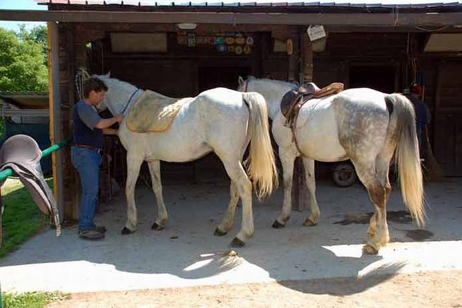 Wine tasting and horseback riding in Montepulciano, in Tuscany from Rome - Scenic Routes and Views During Your Ride