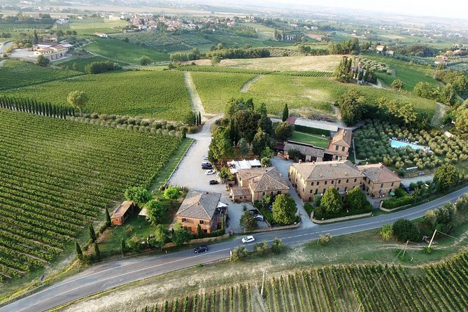 Wine tasting and horseback riding in Montepulciano, in Tuscany from Rome - Guided Tour of the Vineyard and Cellars with Alfredo