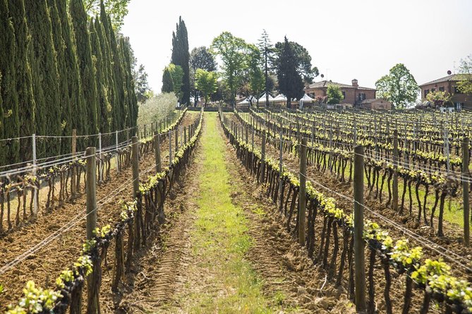 Wine tasting and horseback riding in Montepulciano, in Tuscany from Rome - Additional Options and Family-Friendly Features