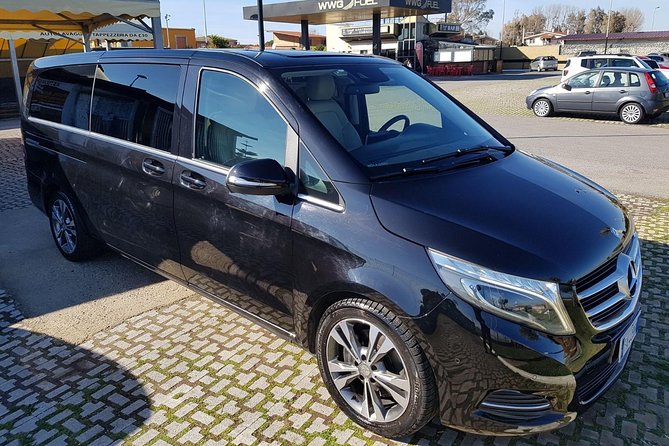 Wine tasting and horseback riding in Montepulciano, in Tuscany from Rome - Practical Details and Booking Considerations