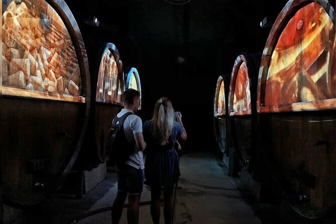 Wine tasting and immersive cellar tour - Practicalities: Meeting Point and Accessibility