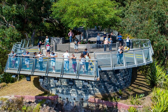 Wine tasting and Jeep Adventure in Madeira's Majestic Countryside - Exploring Quinta Grande and Its Terraced Vineyards