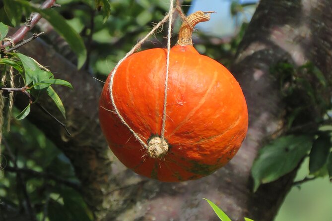 Wine tasting and Jeep Adventure in Madeira's Majestic Countryside - Discovering São Vicente’s Volcanic Caves and Cliffs