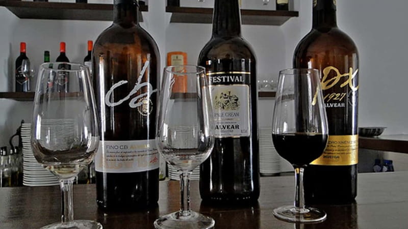 Wine Tasting and local tapas delight in Cordoba - Guided Tasting with a Local Wine Specialist