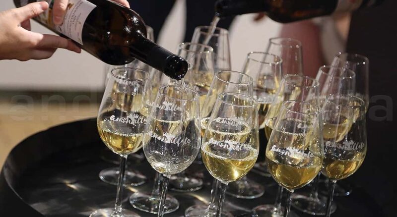 Wine Tasting and local tapas delight in Cordoba - Savoring Córdoba’s Local Tapas