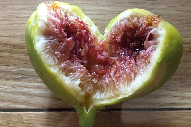 Wine tasting and magical tour from Kotor, Budva, Tivat (Lovcen,Skadar lake) - Wine Tasting at a Family-Owned Boutique Winery