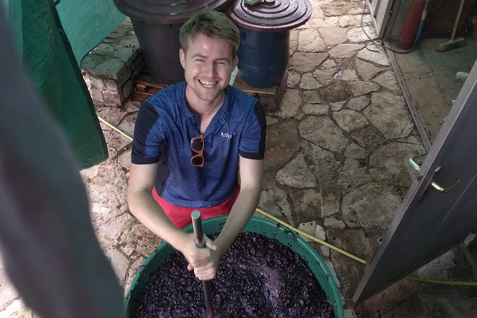 Wine tasting and magical tour from Kotor, Budva, Tivat (Lovcen,Skadar lake) - Timing, Pacing, and Accessibility