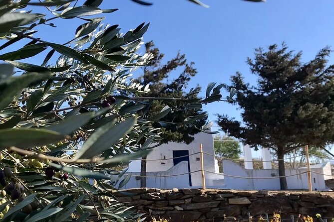 Wine Tasting and Tour in Saint Anna Winery in Naxos - The Unique Charm of Saint Anna Winery