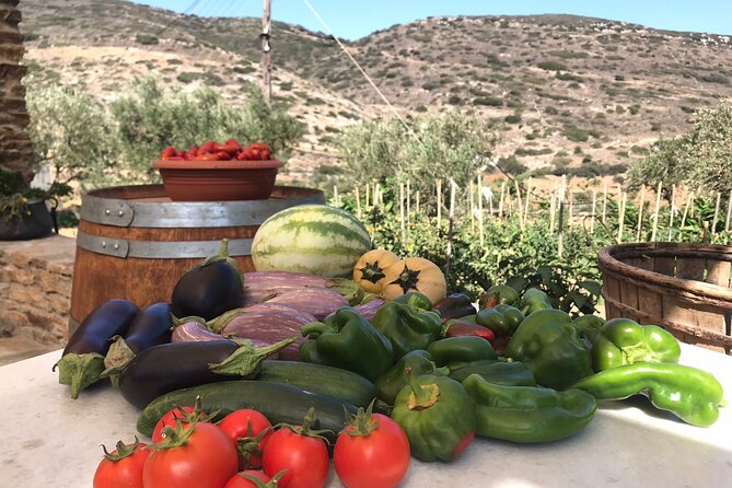 Wine Tasting and Tour in Saint Anna Winery in Naxos - Final Thoughts: A Top Choice for Wine Lovers in Naxos