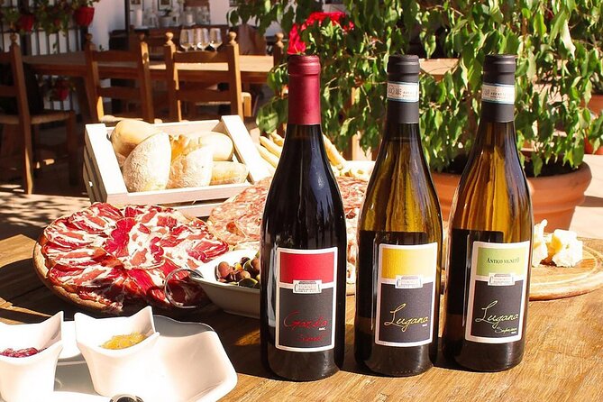 Wine Tasting and Tour of Lugana Wines in Sirmione - Who Will Enjoy This Tour?