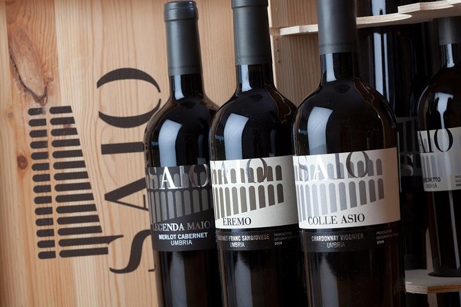 Wine tasting and walk in the Vineyard of Assisi - Why Choose This Wine Tour in Assisi?