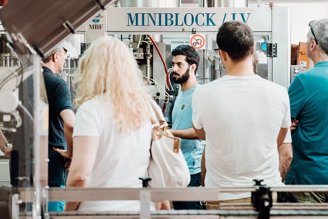 Wine tasting and winery tour at Fikardos Winery - Starting Point and Tour Logistics in Paphos