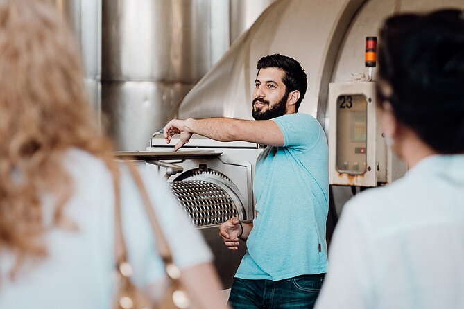 Wine tasting and winery tour at Fikardos Winery - Complementary Cheese and Meats Platter