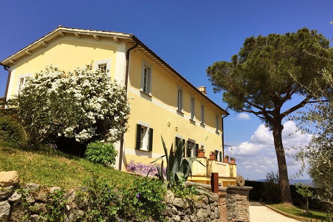 Wine Tasting and Winery tour - Tasting Five House-Made Wines