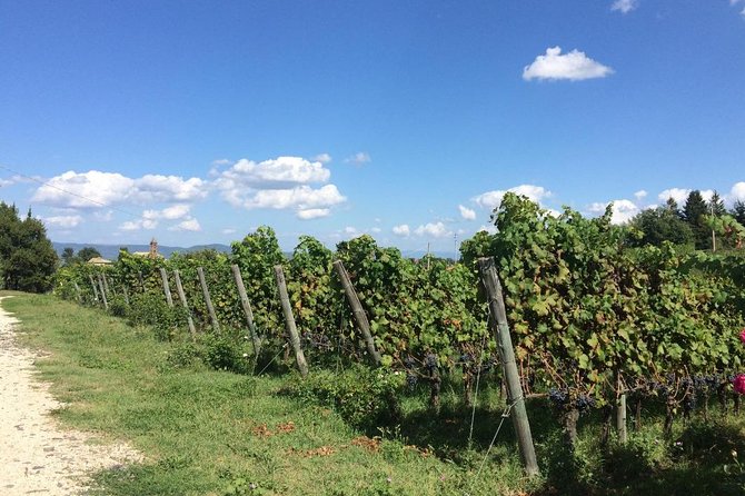 Wine Tasting and Winery tour - Practical Details: Meeting Point, Group Size, and Booking