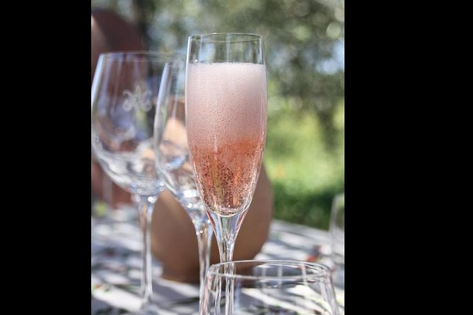 Wine Tasting and Winery tour - The Value and Overall Quality of the Tour