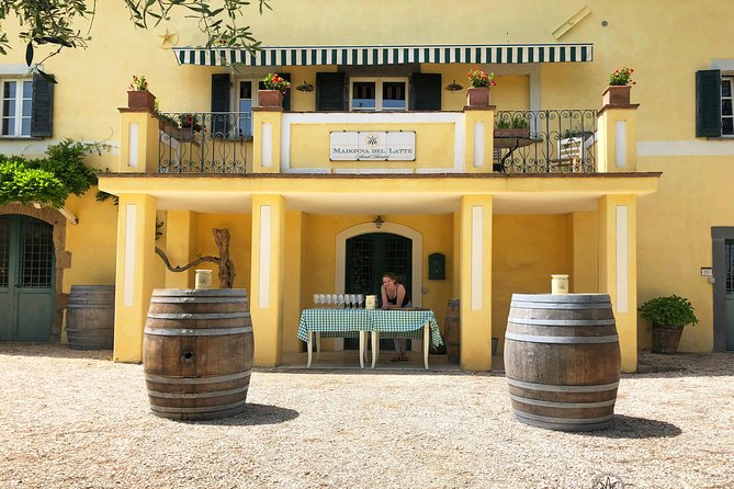 Wine Tasting and Winery tour - The Sum Up: A Personal and Authentic Wine Experience Near Orvieto