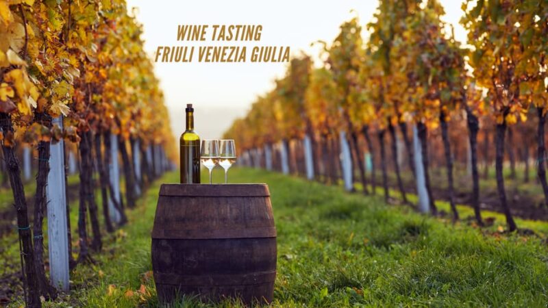 Wine tasting and winery tour in Friuli Venezia Giulia - Key Points