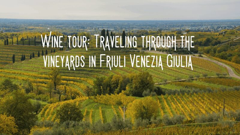 Wine tasting and winery tour in Friuli Venezia Giulia - What You Can Expect During the Wine Tasting