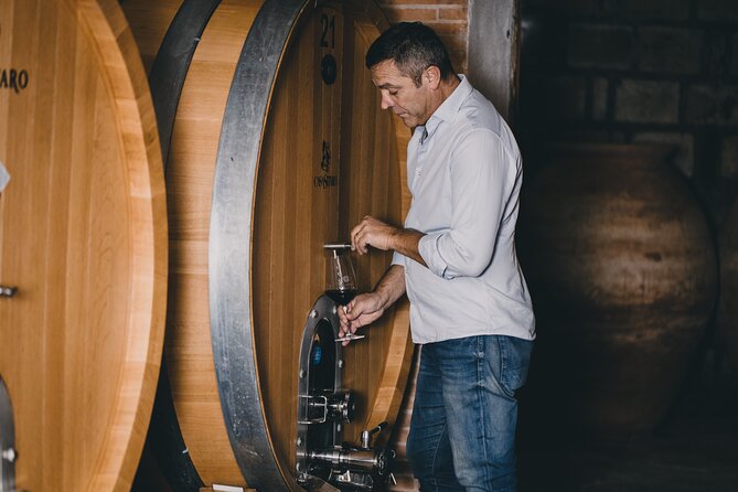 Wine Tasting and Winery Tour in Vesuvio National Park with Lunch - Discover the Unique Experience of the Vesuvio Winery Tour and Tasting