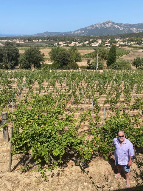 Wine tasting around Ile rousse & Calvi with Transport - Key Points