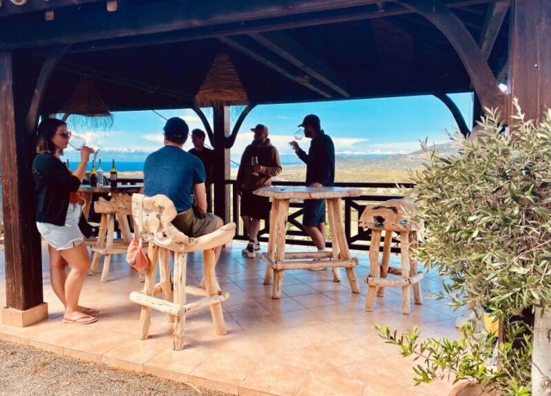 Wine tasting around Ile rousse & Calvi with Transport - Visiting the Vineyards and Cellars of Calvi