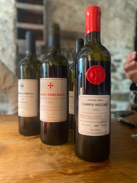 Wine tasting around Ile rousse & Calvi with Transport - Final Thoughts: A Relaxed and Insightful Wine Tour