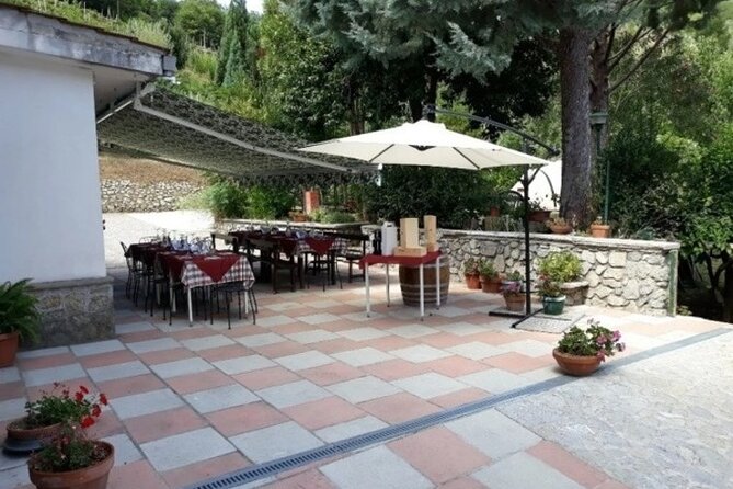 Wine Tasting at Basileo Cellar with Lunch - The Historic Basileo Winery and Its Roots