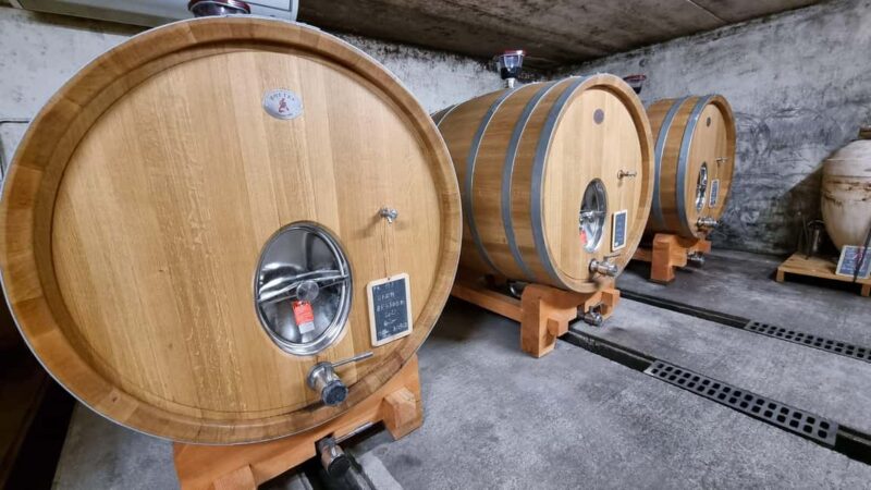 Wine tasting at Château Capion - What to Expect During the 30-Minute Wine Tasting