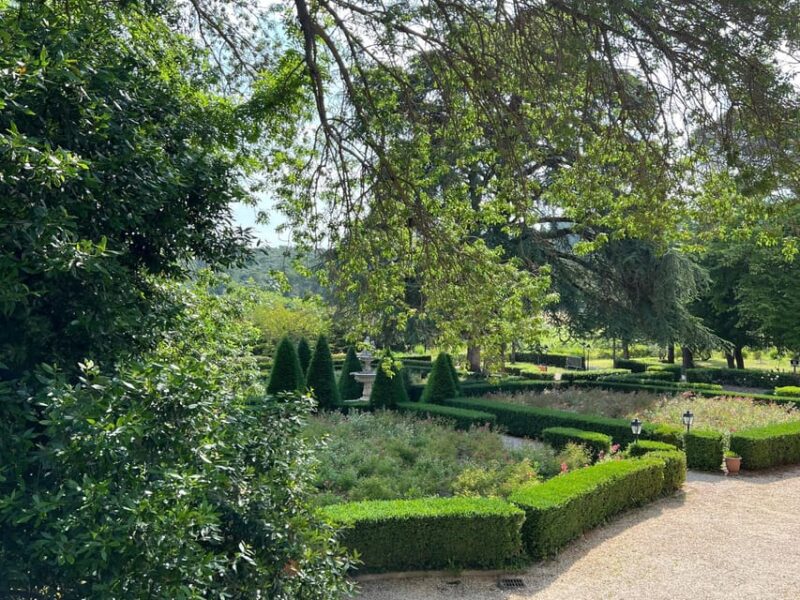 Wine tasting at Château Capion - The Wine Selection and Tasting Experience