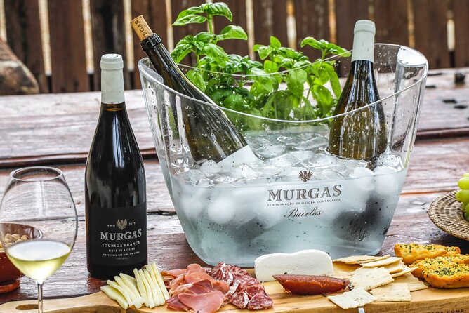 Wine tasting at Quinta das Murgas - Explore the Unique Wine Tasting Experience at Quinta das Murgas