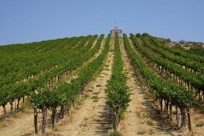 Wine Tasting at Sam Cellars a Boutique Washington Winery - The Sum Up: An Authentic Sip of Washington Wine in Redmond