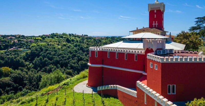 Wine Tasting, Cannes, Famous Designers and Perfume Factory - The Guide and Transportation: Personalized and Comfortable