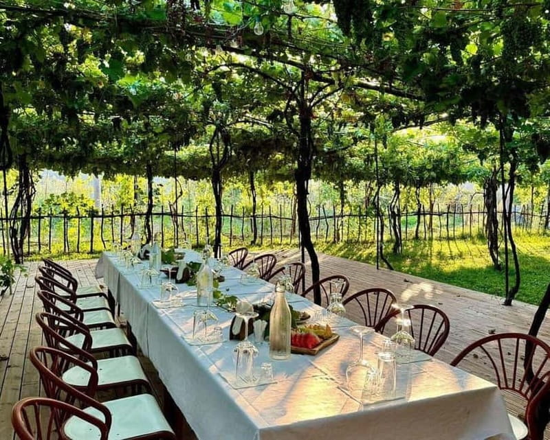 Wine Tasting Experience at Alpeta Winery - Key Points