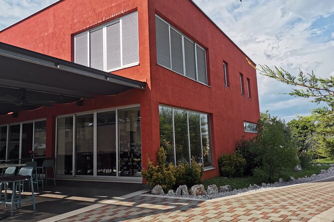 Wine Tasting Experience at the organic winery in ian - The Design of Bruno’s Modernist Winery Building