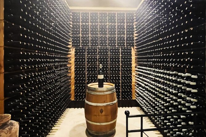 Wine Tasting Experience for Small Groups from Palermo - Tasting of Sicilian Snacks and Flavors