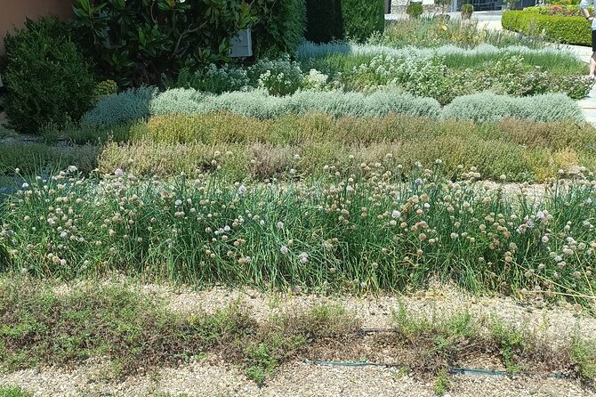 Wine Tasting Experience from Thessaloniki - An Authentic Greek Wine Tasting Experience Around Thessaloniki