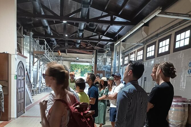 Wine Tasting Experience from Thessaloniki - Visiting a Top-Rated North Greek Winery