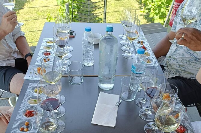 Wine Tasting Experience from Thessaloniki - The Vineyard and Museum Walk
