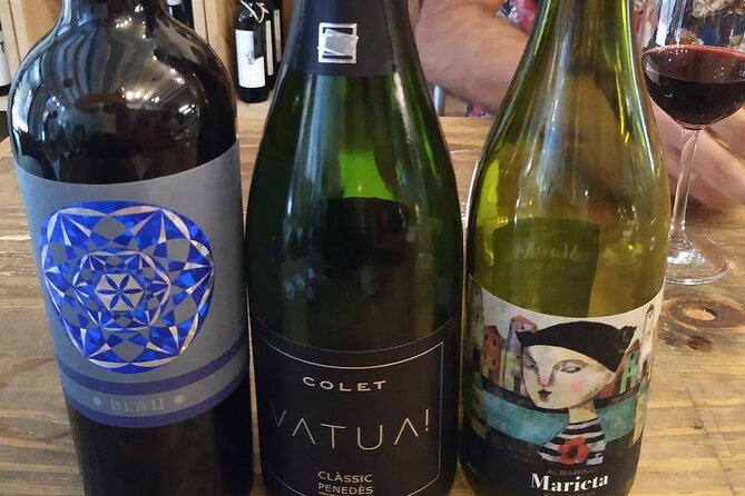 Wine Tasting Experience in Barcelona - Sampling Five Catalan Wines